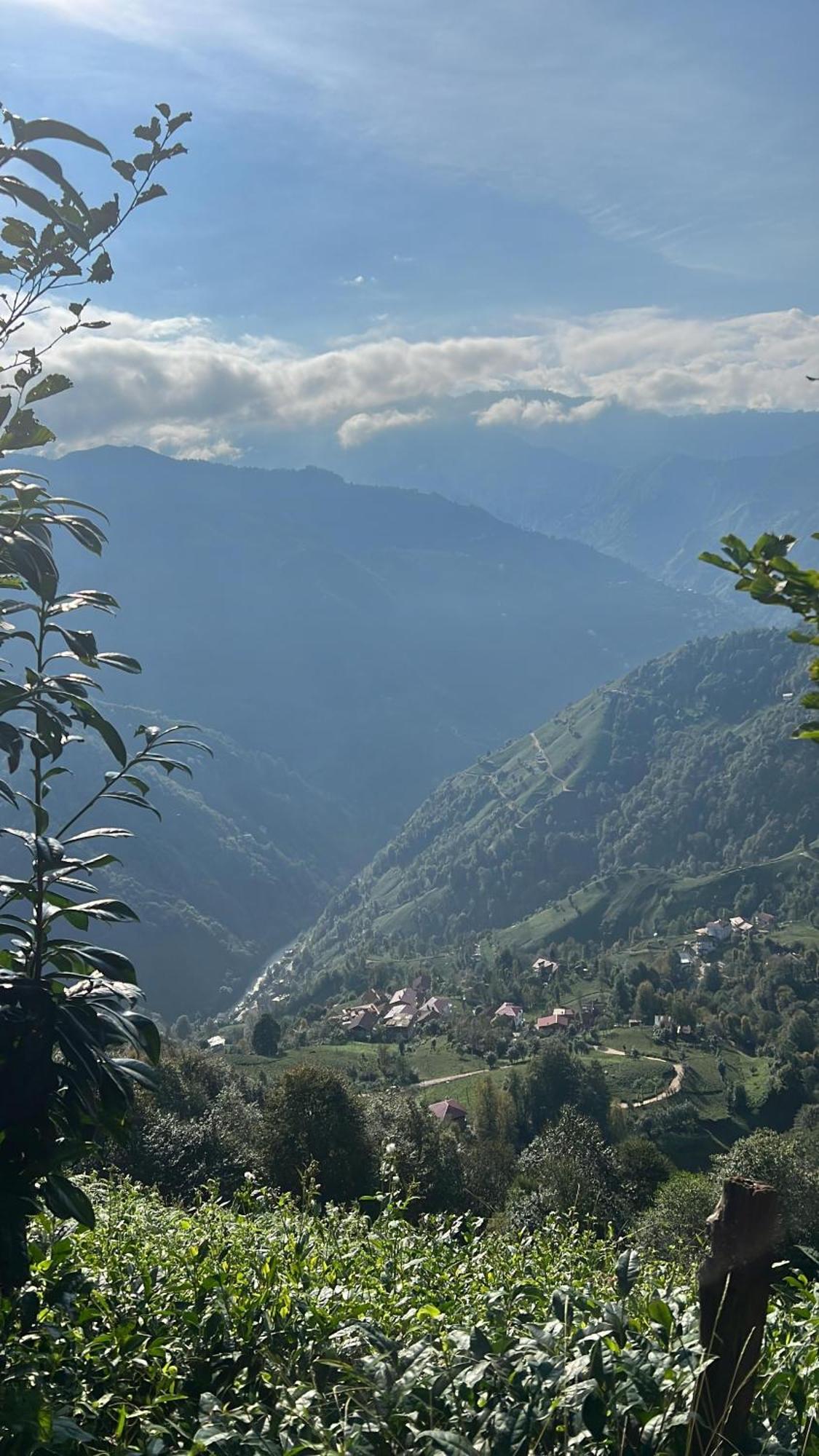Pera Bungalov Ardeşen Buitenkant foto