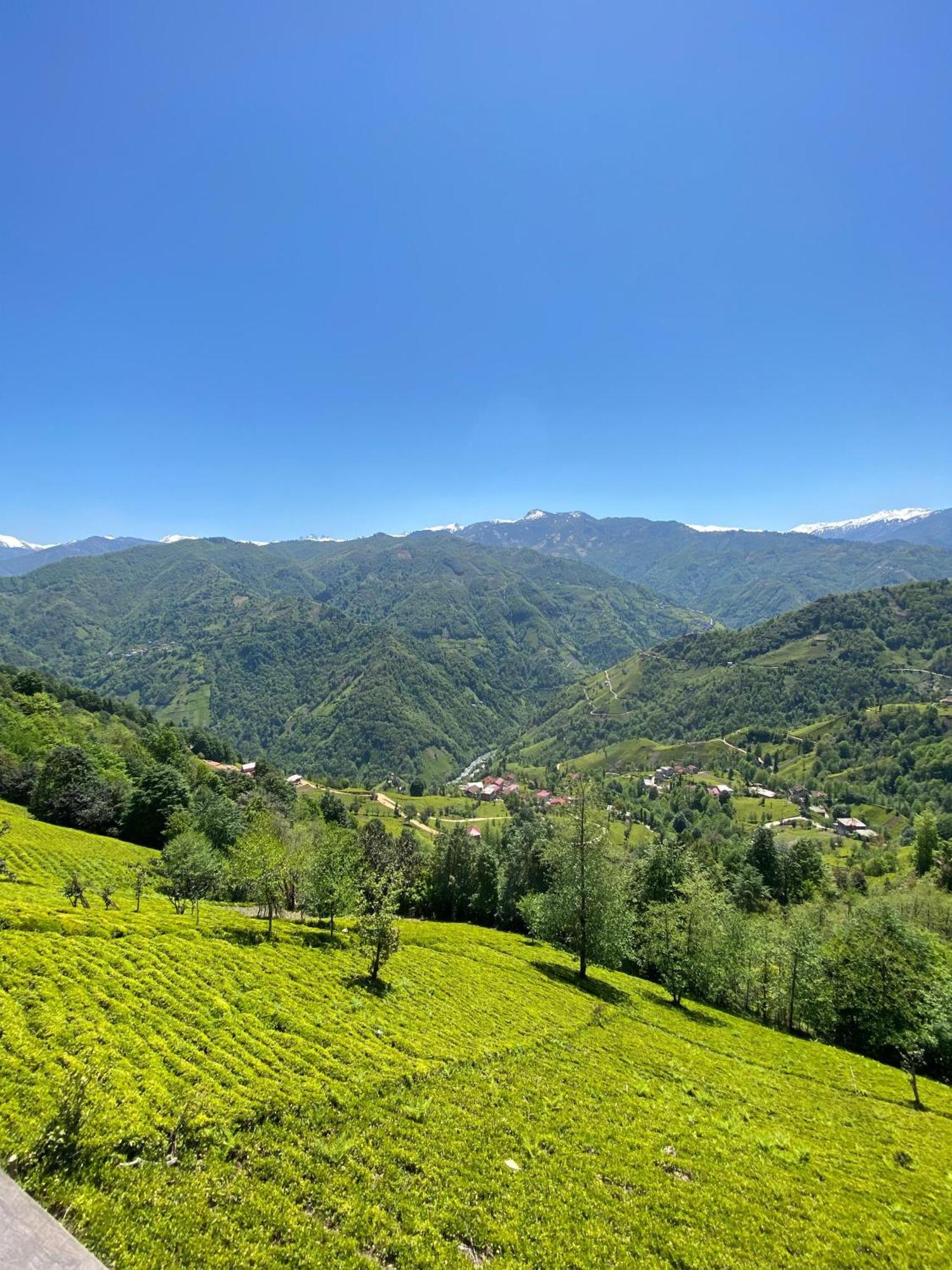 Pera Bungalov Ardeşen Buitenkant foto