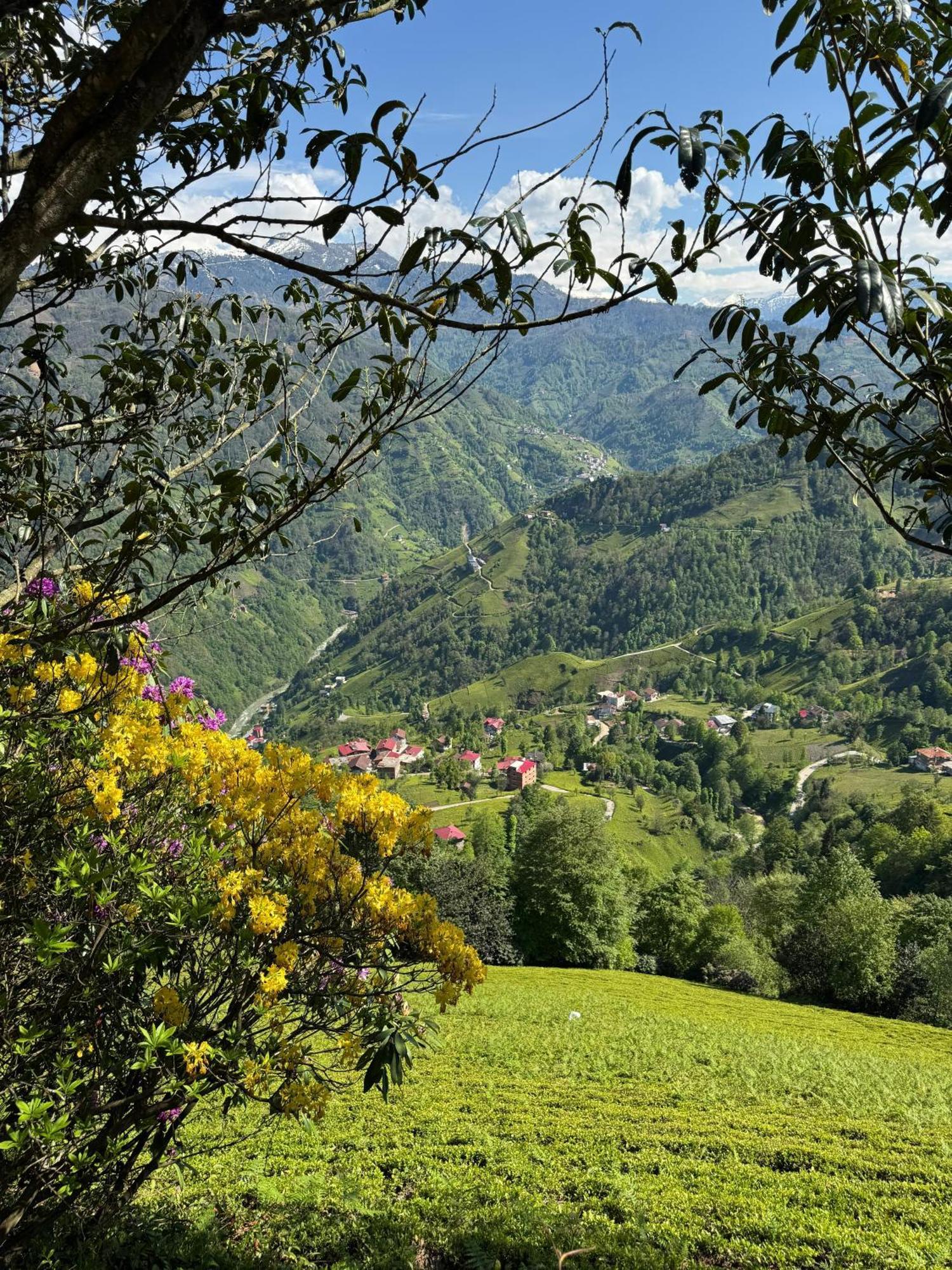 Pera Bungalov Ardeşen Buitenkant foto